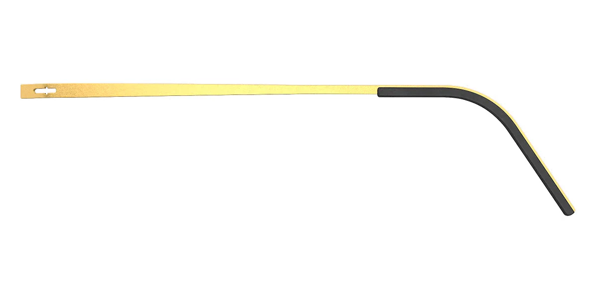 Lindberg® Spirit Titanium™ 2509 - Image 63